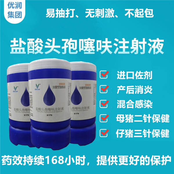 【长效头孢•猪场使用效果反馈】陕西省榆林市定边县张老板猪场长效头孢实证反馈
