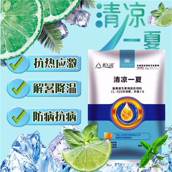 清凉一夏