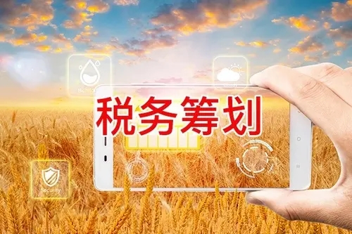 税务筹划