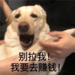 LCIGBd.jpg