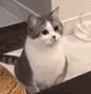 Lf9yY8.gif