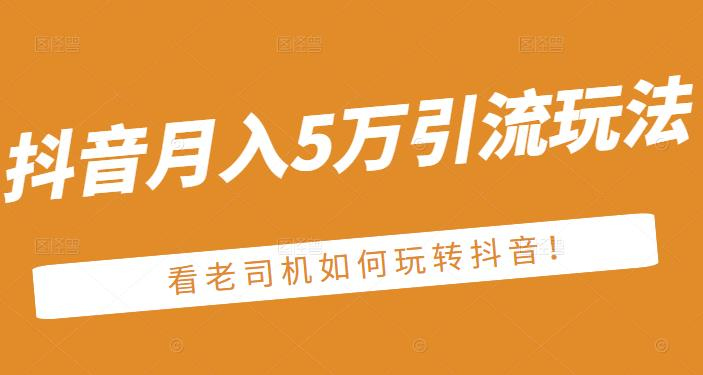 老古董·抖音月入5万引流玩法，看看老司机如何玩转抖音(附赠：抖音另类引流思路)图片