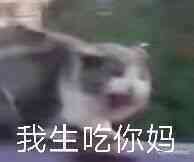 jEKyH1.jpg