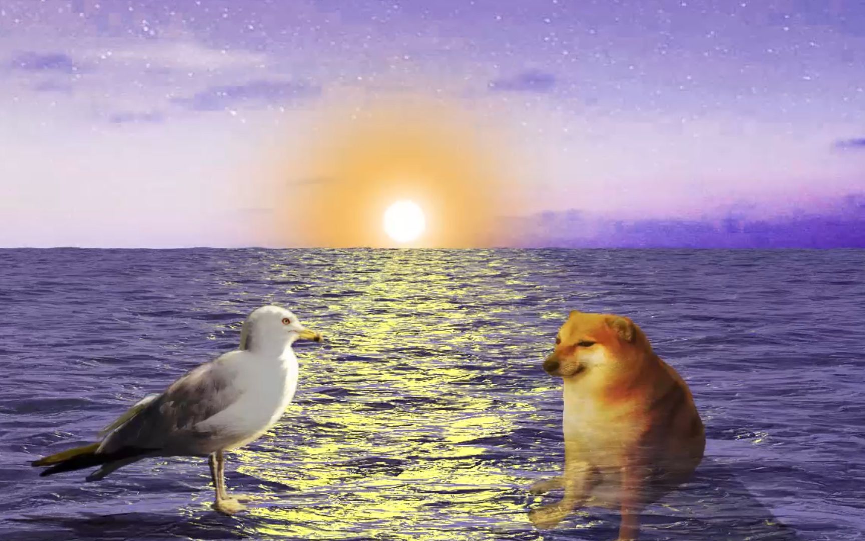 “Cheems,你要去码头整点薯条吗?”