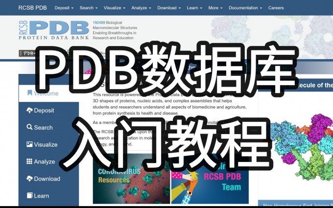 PDB蛋白质数据库入门教程视频