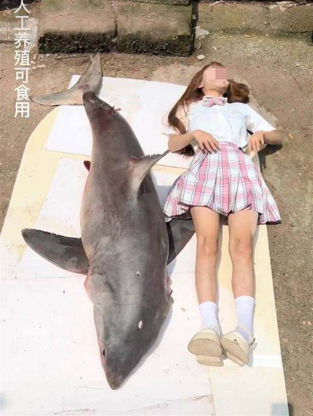 四川百万粉丝网红用濒危噬人鲨做美食,还称“人工养殖可食用”?媒体已报警