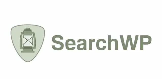 SearchWP v4.2.4 WordPress高级搜索插件已激活版下载图片 第1张