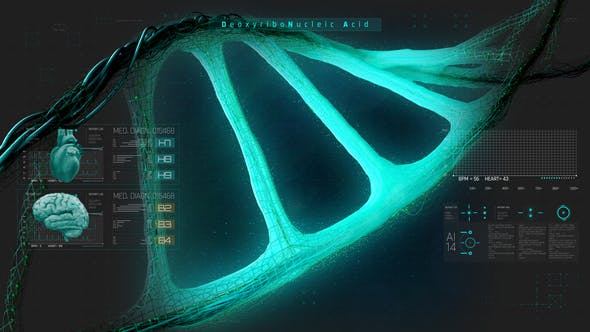 AE模板-40组高科技全息HUD生物医疗DNA链动画