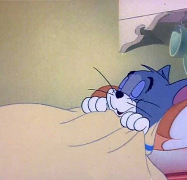 Sleeping Tom