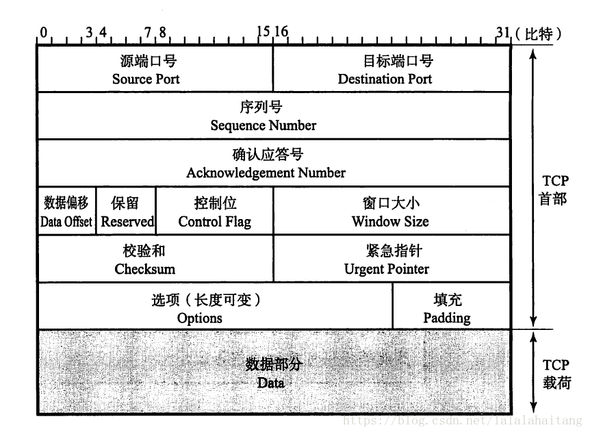 TCP首部