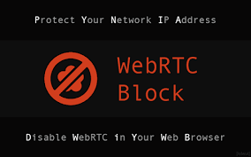 阻止 WebRTC 泄露本地/真实 IP