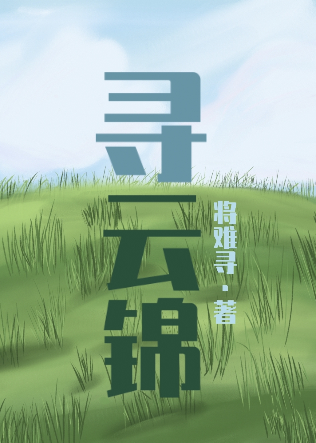 寻云锦