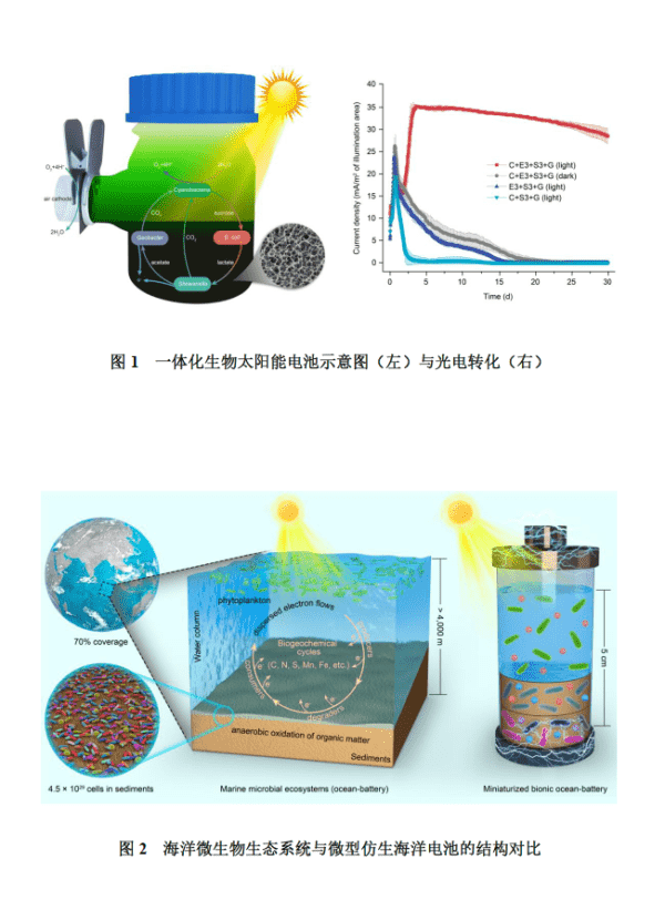 科学家创建出仿生海洋电池 1 科学家创建出仿生海洋电池