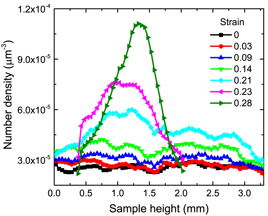 Fig.R2 The pore number density distributions along the sample height at different strains.