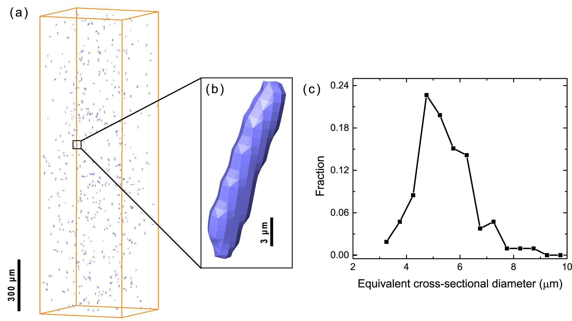 Fig.R1 (a) Spatial distribution of $\beta$-AlFeSi particles observed by micro-CT technique; (b) A typical $\beta$-AlFeSi particle; (c) Equivalent cross-sectional diameter distribution of $\beta$-AlFeSi particles.