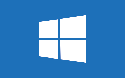 Windows 10 v2022-L.1345 神州网信政府版