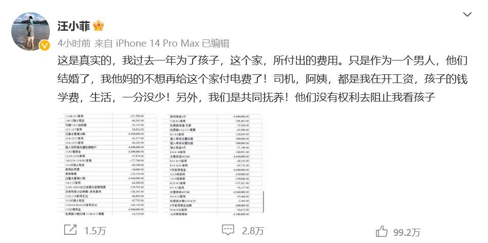 汪小菲在微博晒出过去一年的家庭支出