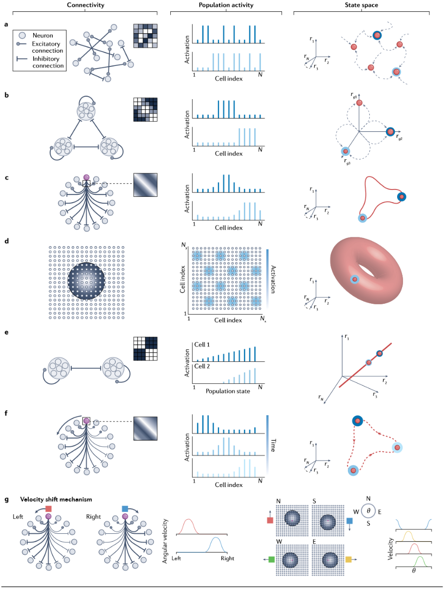 Featured image of post Attractor and integrator networks in the brain