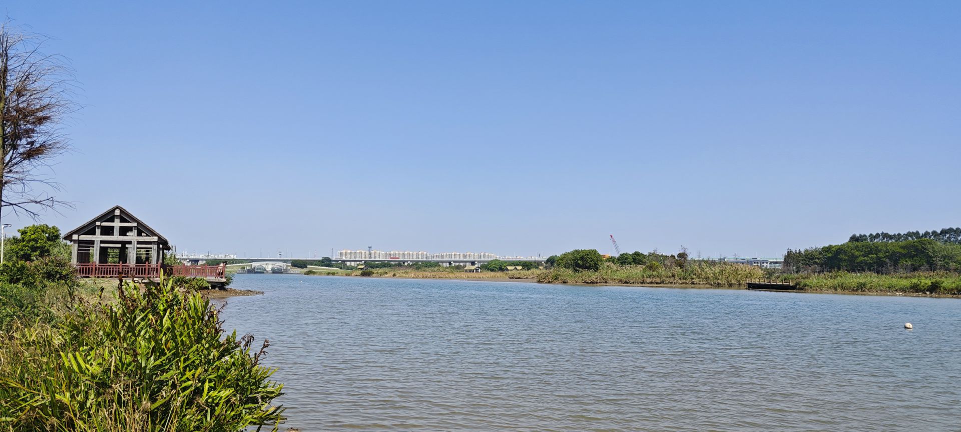 东莞沙田穗丰年湿地公园