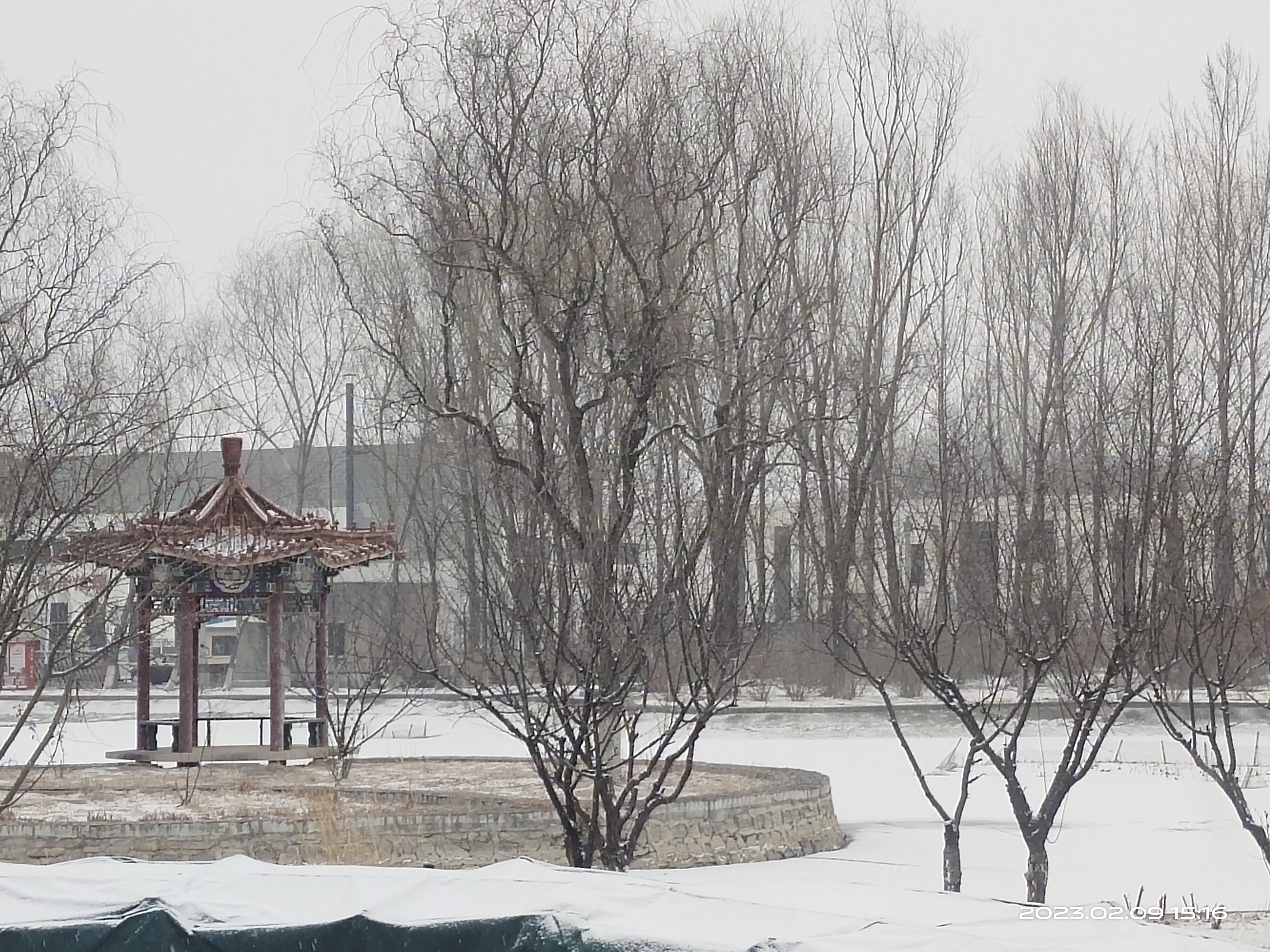 淋雪