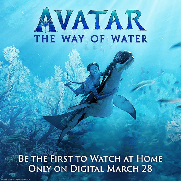 《阿凡达：水之道》高清数位版上线时间