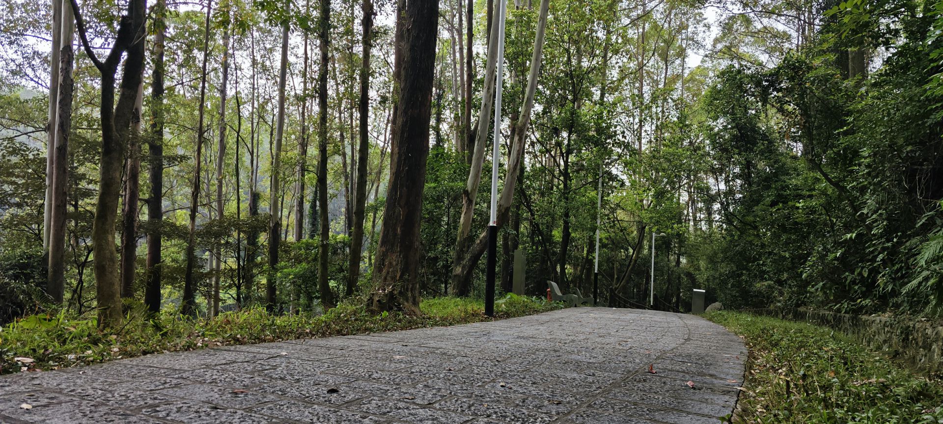 东莞市水濂山森林公园