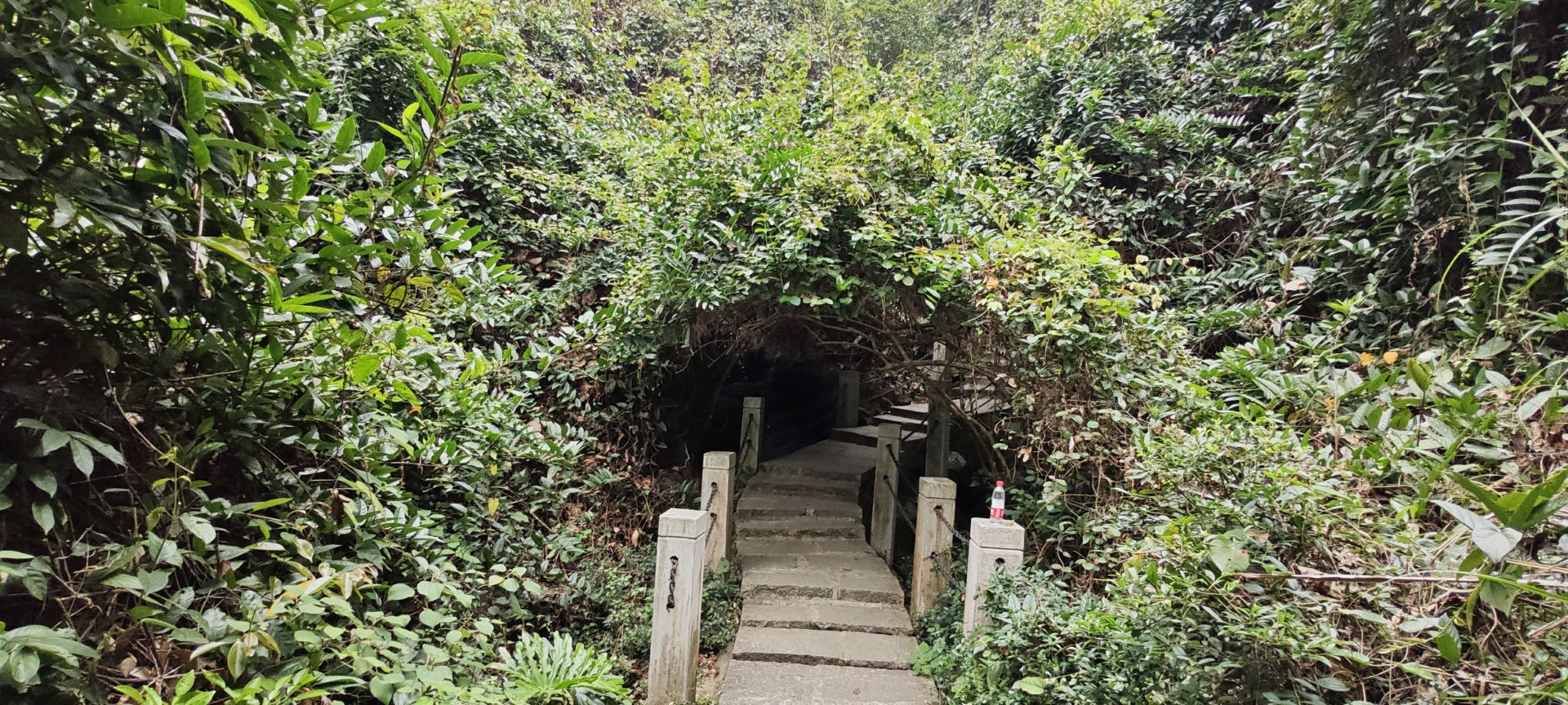 东莞市水濂山森林公园