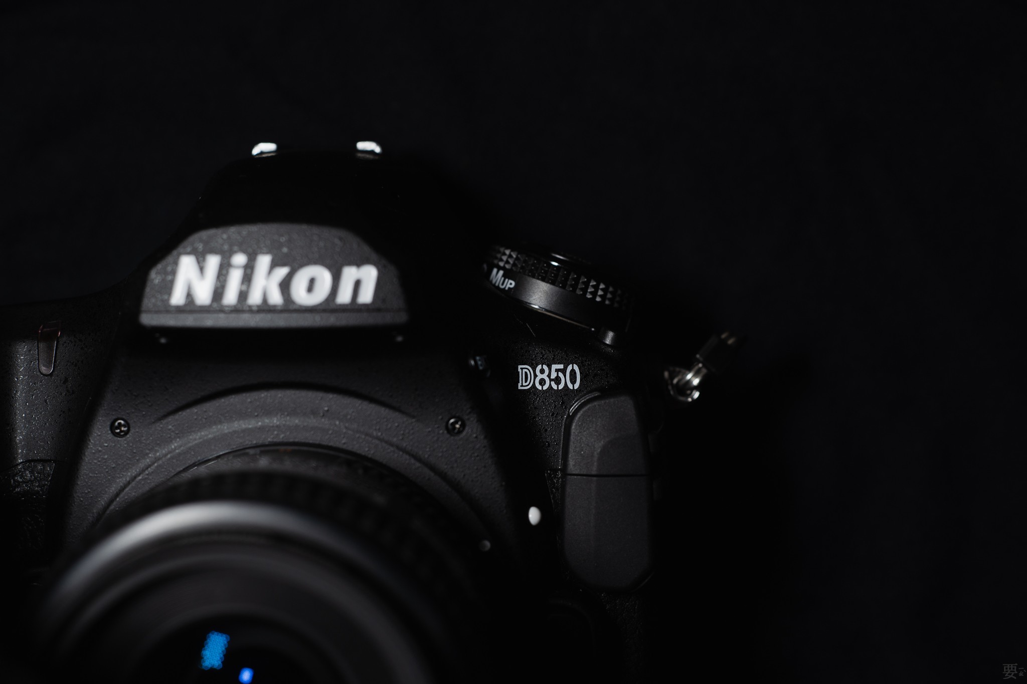 尼康Nikon D850 - 攀高枝- 原创分享(新) - Chiphell - 分享与交流用户体验