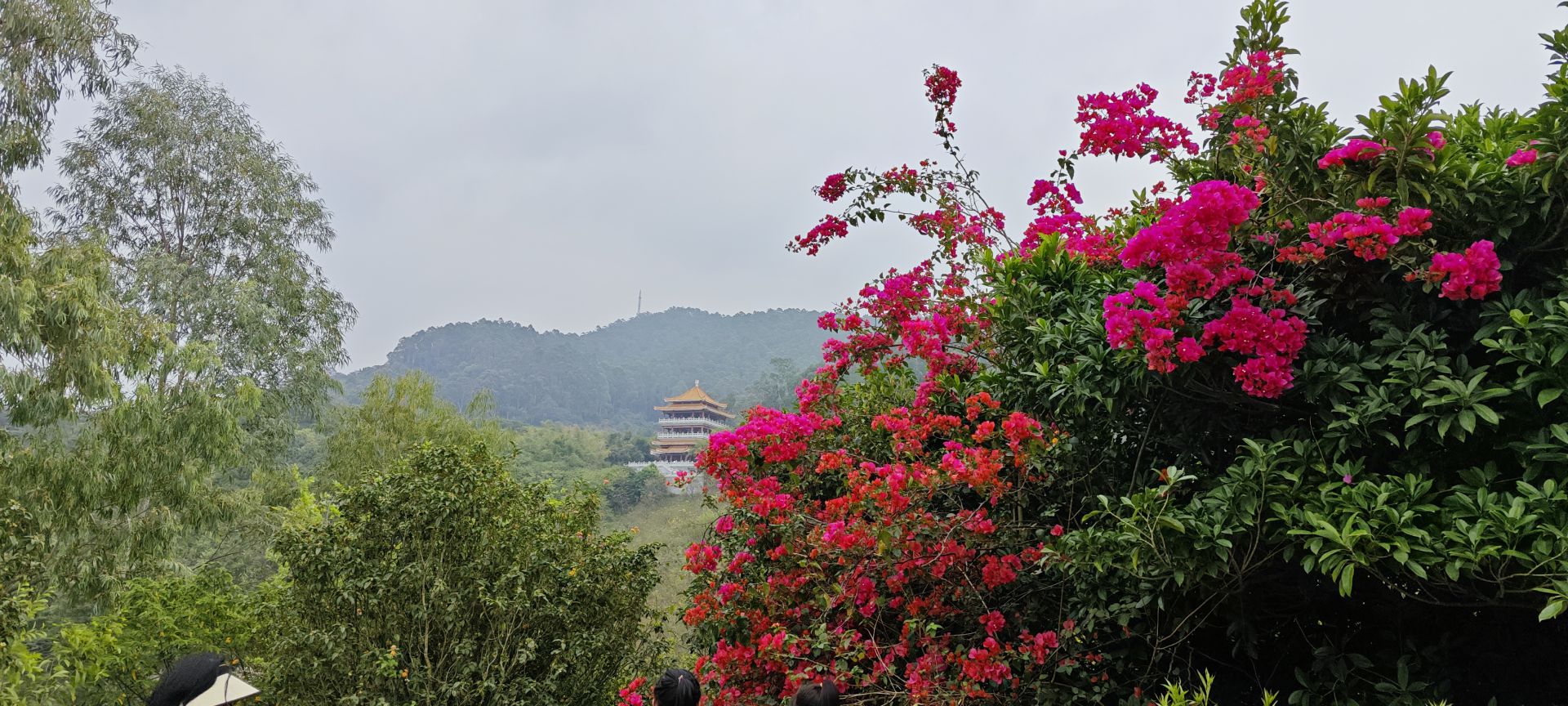 东莞市水濂山森林公园