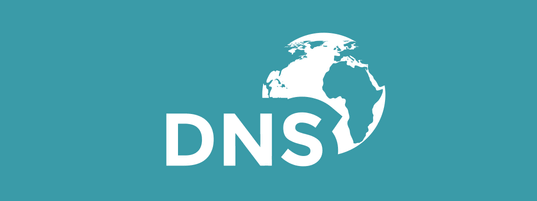 Docker搭建DNS服务器