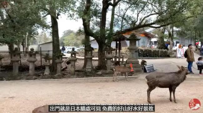 图片飞跑了