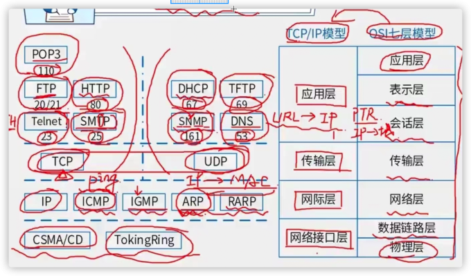pCebHj1.md.png