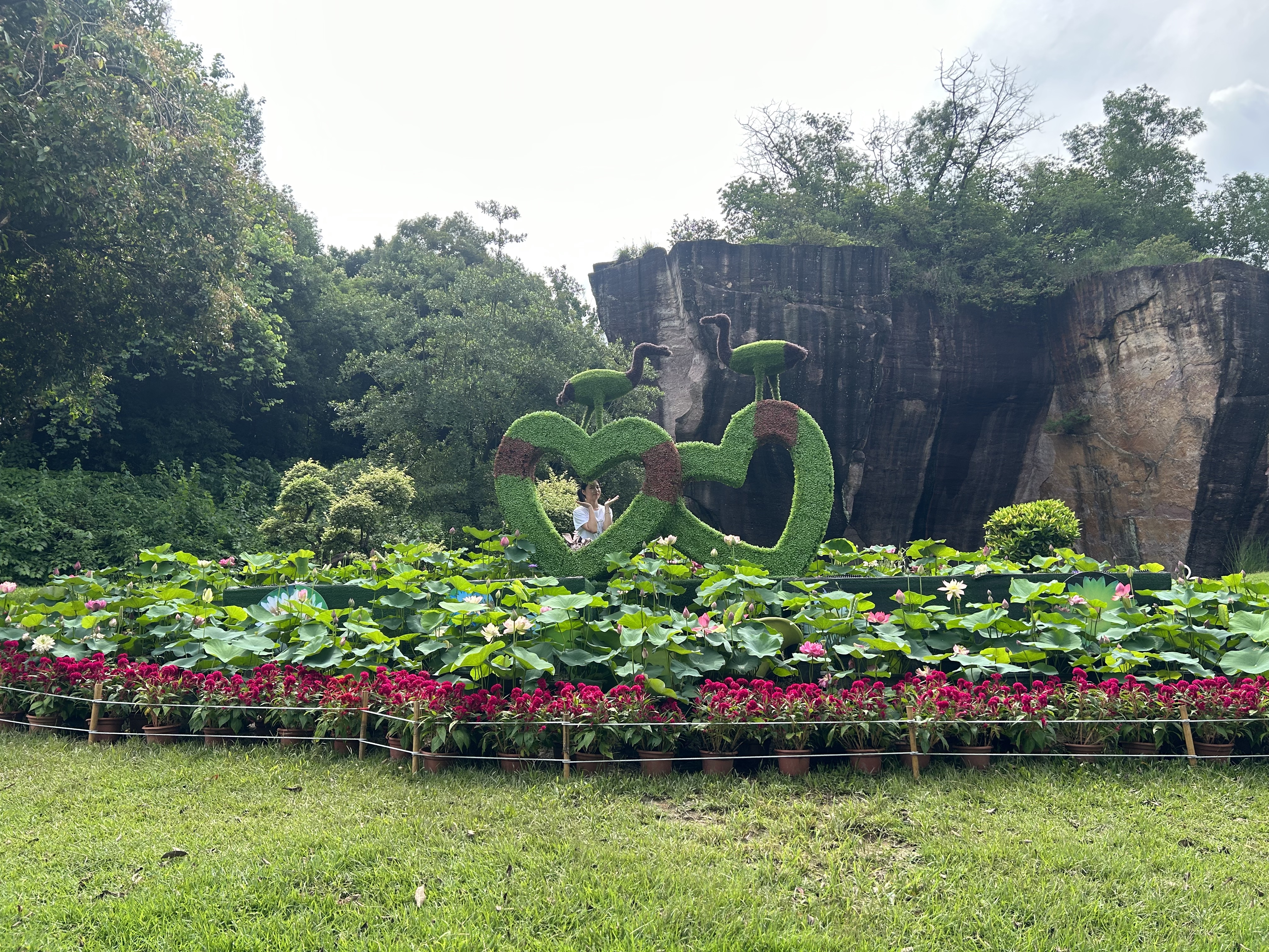 莲花山