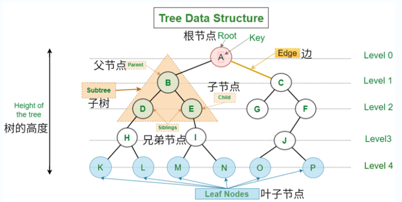 树数据结构